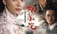 铁梨花电视剧,乱世佳人，铁血柔情
