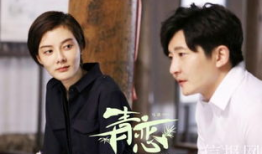 中央一套最新电视剧,中央一套新剧展现改革开放新篇章