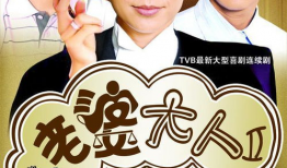 老婆大人电视剧,婚姻生活的甜蜜与挑战