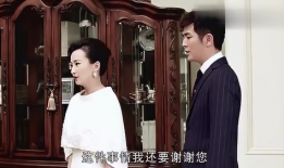 电视剧总裁爱上灰姑娘,总裁的甜蜜邂逅