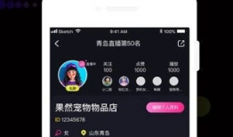 91频道直播分享系统,打造全新互动直播体验