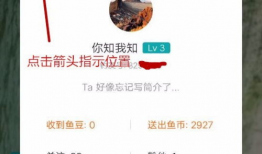 91钓鱼直播能赚钱吗,揭秘网络钓鱼直播的盈利之道