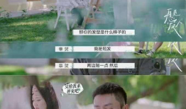 再见爱人电视剧,情感纠葛下的婚姻抉择与成长之路