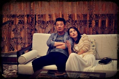 婚姻 电视剧,情感纠葛与家庭抉择