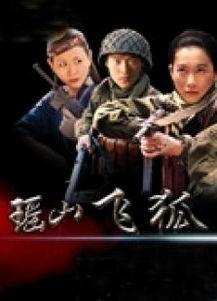 瑶山飞狐电视剧,江湖情仇，飞狐传奇