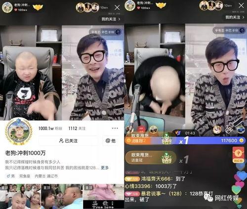 91万粉丝的直播回放,直播回放精彩瞬间大盘点