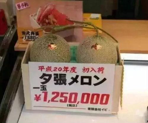 仅供吃瓜娱乐,揭秘明星们的吃瓜日常